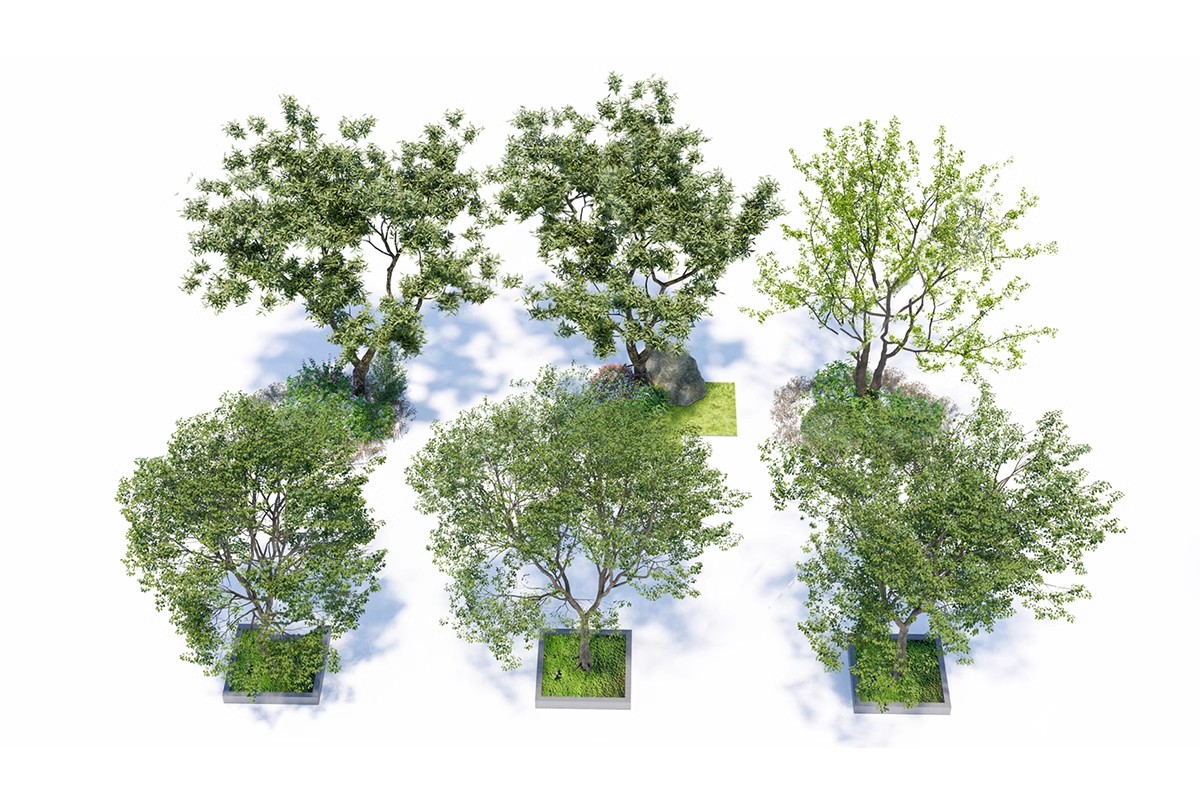 图片[35]-SU草图大师模型园林建筑室外景观树木乔木三维植物sketchup素材库-大怪兽分享