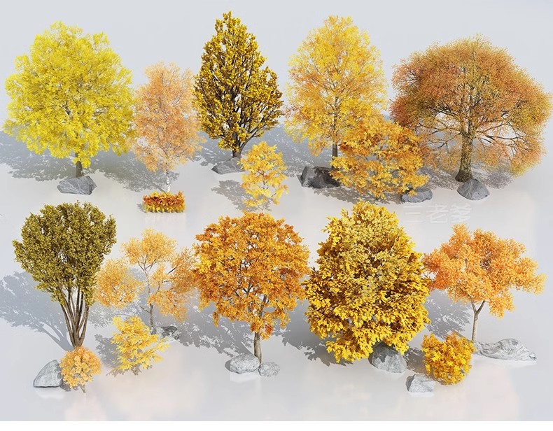 图片[26]-园林景观庭院植物三维真实花草树木乔木花卉灌木草图大师SU模型库-大怪兽分享