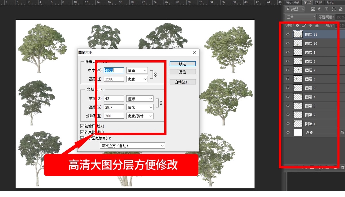 图片[31]-古风植物彩平园林景观复古小清新平面立面树木psd分层免抠PS素材-大怪兽分享