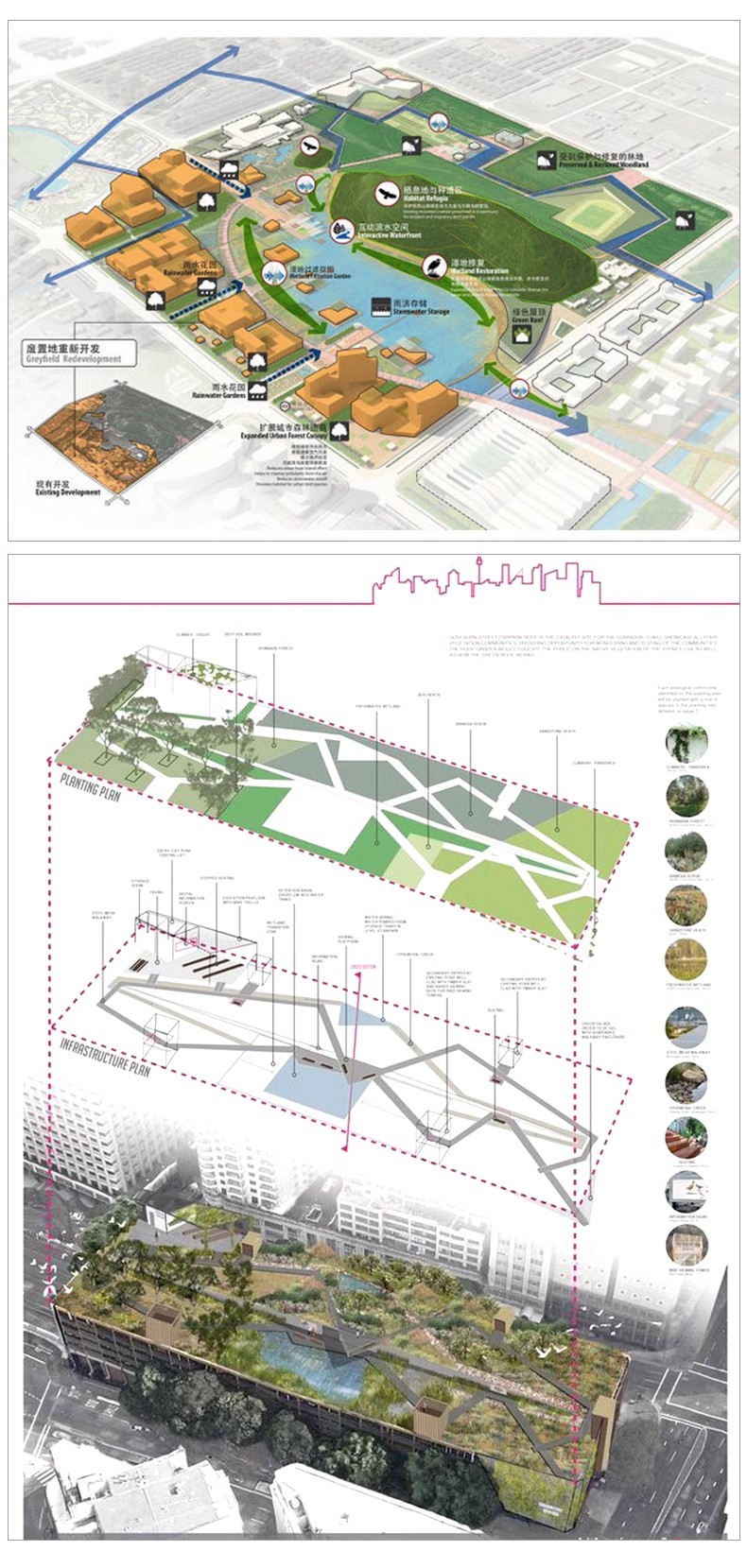 图片[26]-景观园林分析图PSD参考意向区位植物小场景内部剖面分析ps素材库-大怪兽分享