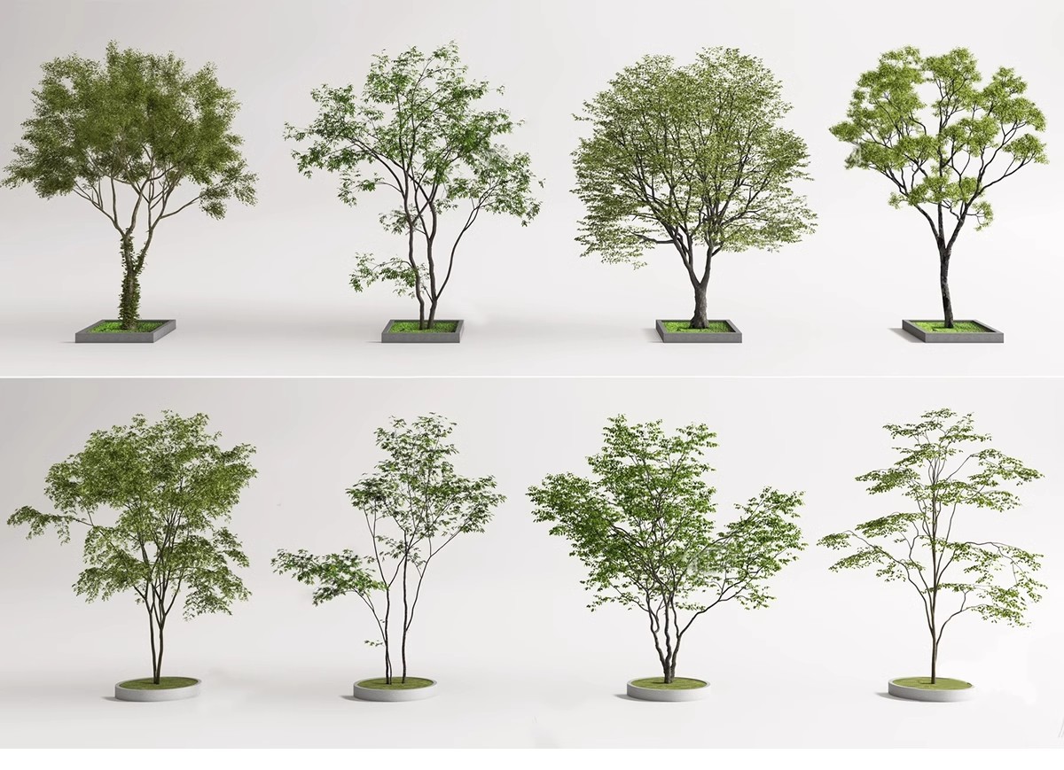 图片[37]-SU草图大师模型园林建筑室外景观树木乔木三维植物sketchup素材库-大怪兽分享