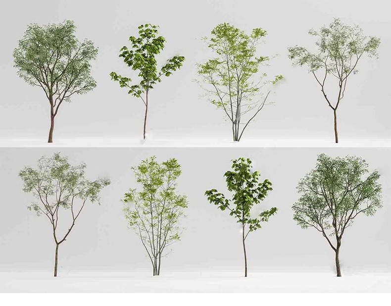 图片[28]-园林景观庭院植物三维真实花草树木乔木花卉灌木草图大师SU模型库-大怪兽分享