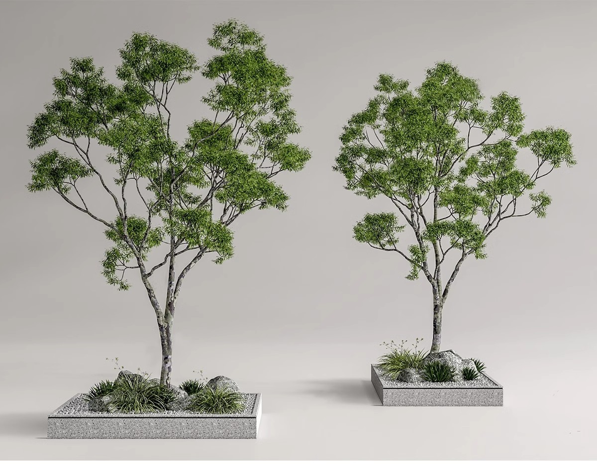 图片[38]-SU草图大师模型园林建筑室外景观树木乔木三维植物sketchup素材库-大怪兽分享