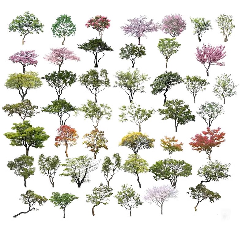 图片[29]-园林景观庭院植物三维真实花草树木乔木花卉灌木草图大师SU模型库-大怪兽分享