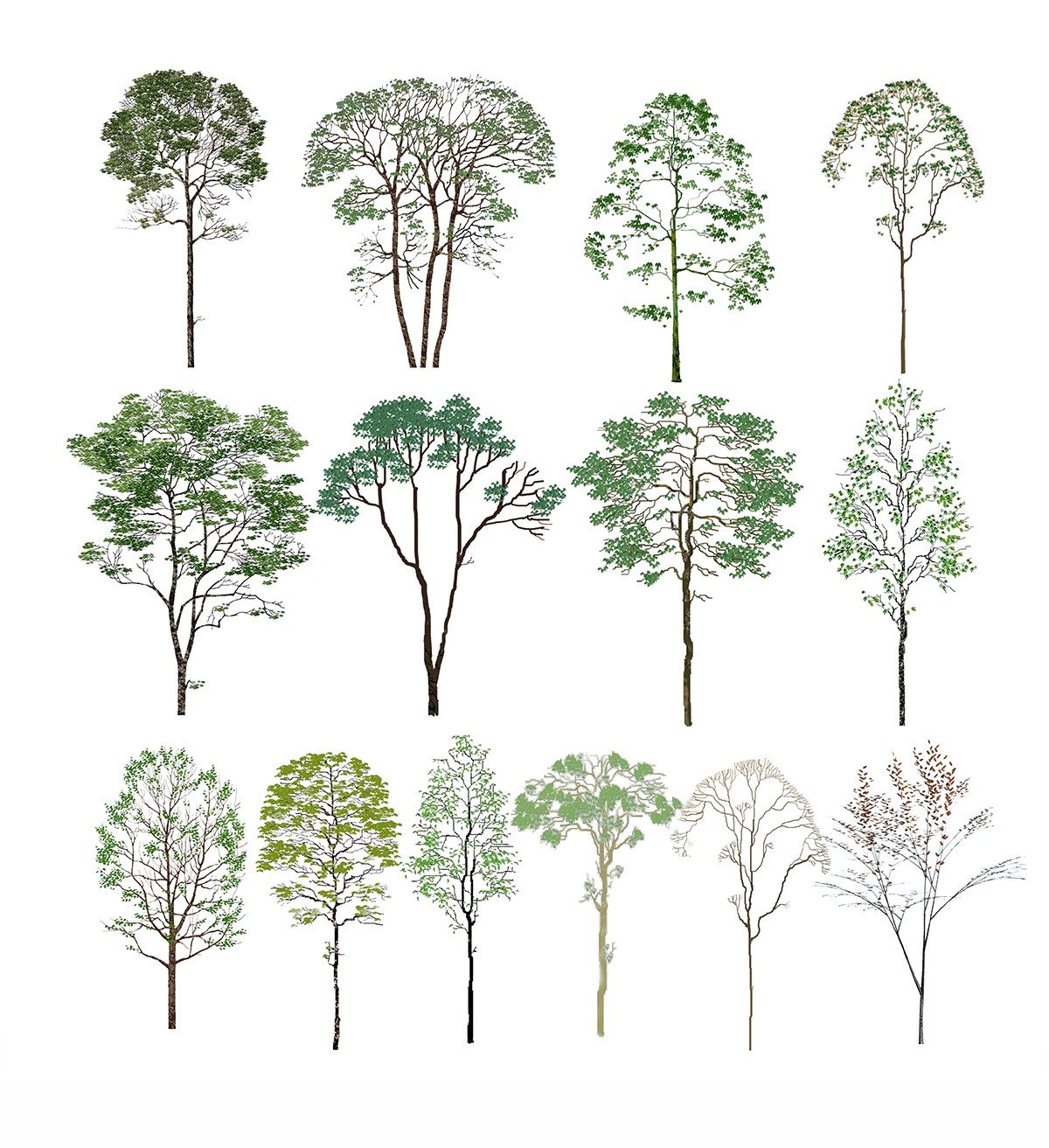 图片[34]-古风植物彩平园林景观复古小清新平面立面树木psd分层免抠PS素材-大怪兽分享