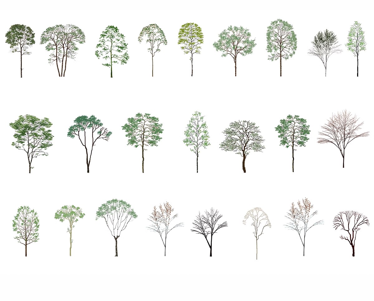 图片[35]-古风植物彩平园林景观复古小清新平面立面树木psd分层免抠PS素材-大怪兽分享