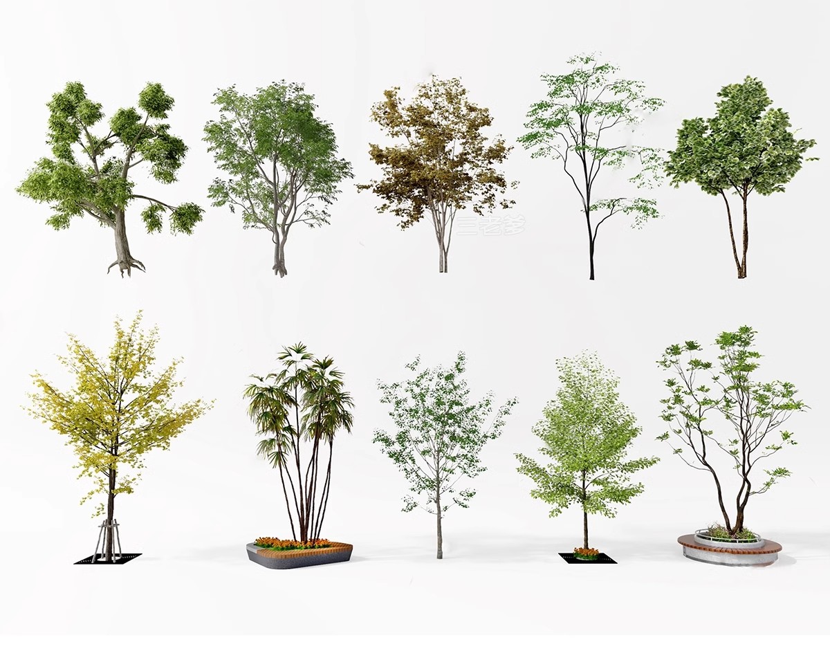 图片[40]-SU草图大师模型园林建筑室外景观树木乔木三维植物sketchup素材库-大怪兽分享