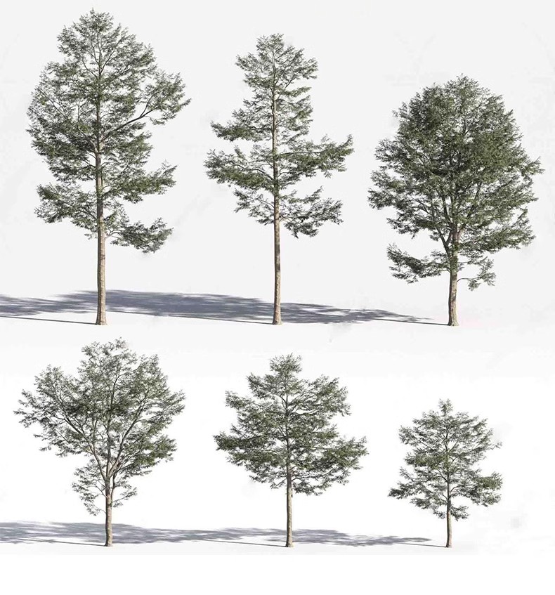 图片[32]-园林景观庭院植物三维真实花草树木乔木花卉灌木草图大师SU模型库-大怪兽分享