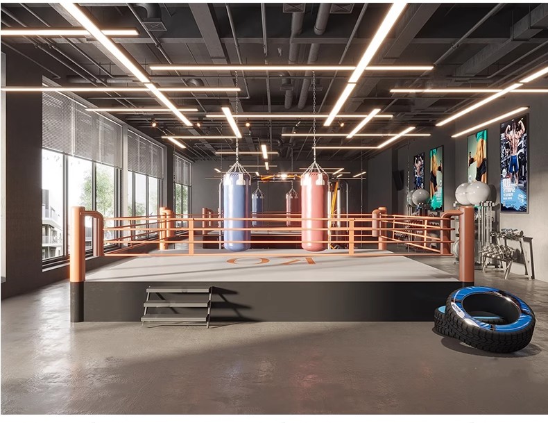 图片[39]-现代工业风健身房SU模型配套CAD施工图俱乐部私教瑜伽室草图大师-大怪兽分享