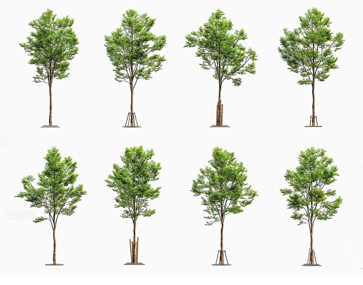 图片[41]-SU草图大师模型园林建筑室外景观树木乔木三维植物sketchup素材库-大怪兽分享