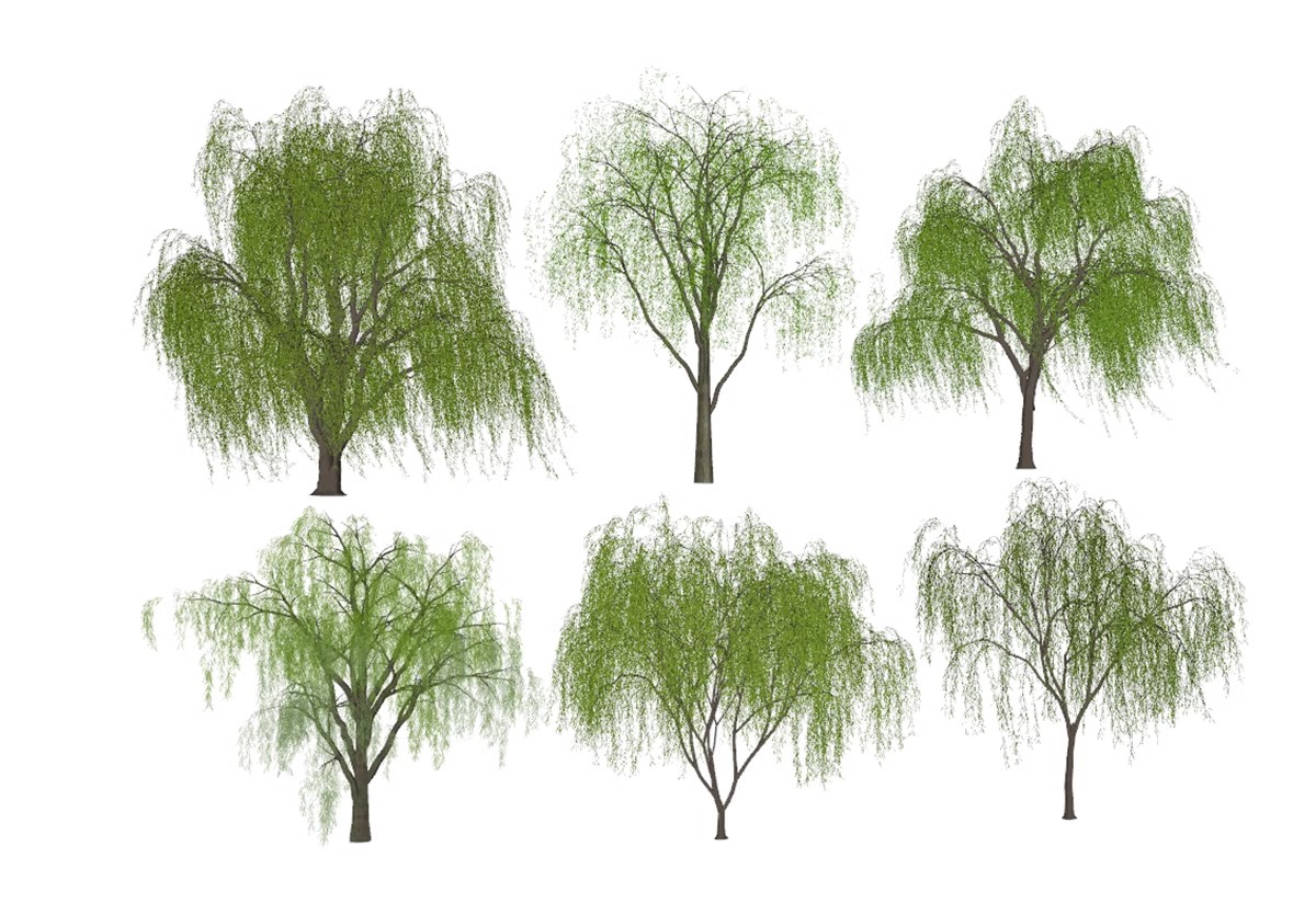 图片[42]-SU草图大师模型园林建筑室外景观树木乔木三维植物sketchup素材库-大怪兽分享