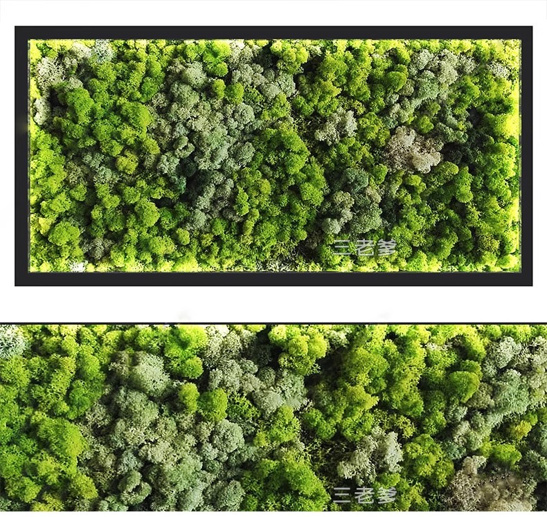 图片[6]-室内植物绿植墙花架垂直绿化绿墙办公室酒店咖啡厅su模型sketchup-大怪兽分享