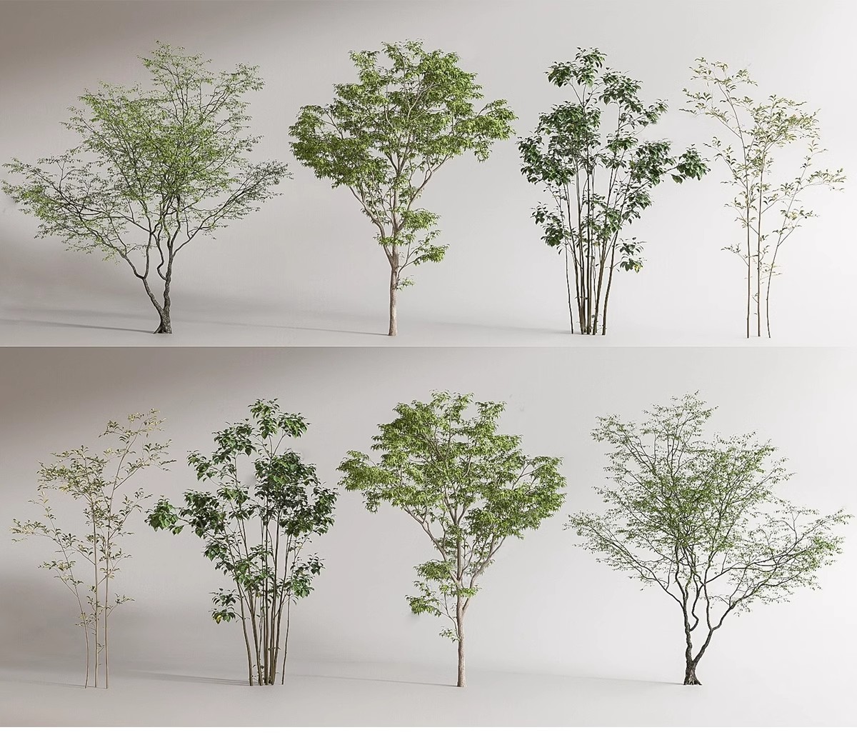 图片[43]-SU草图大师模型园林建筑室外景观树木乔木三维植物sketchup素材库-大怪兽分享