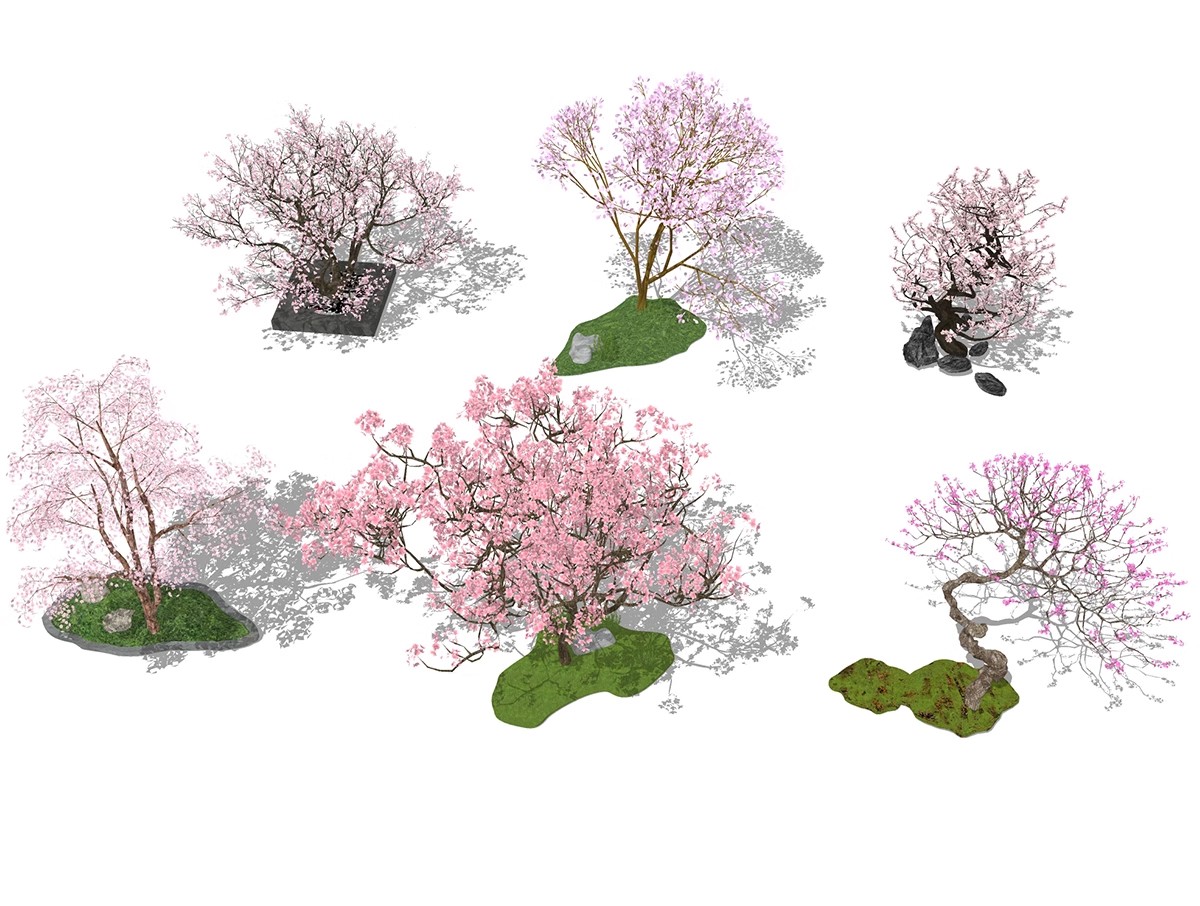图片[45]-SU草图大师模型园林建筑室外景观树木乔木三维植物sketchup素材库-大怪兽分享
