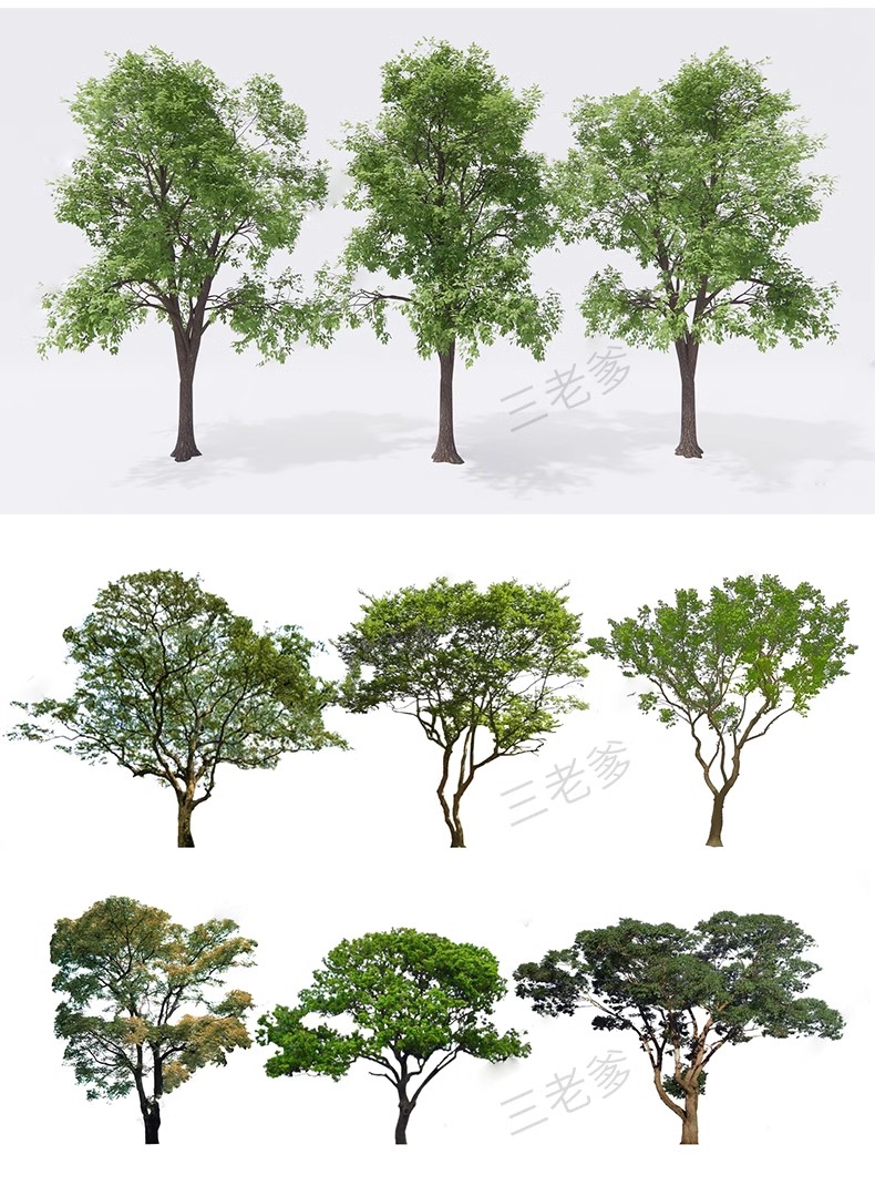图片[46]-SU草图大师模型园林建筑室外景观树木乔木三维植物sketchup素材库-大怪兽分享