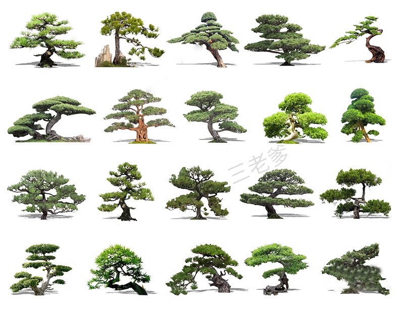 图片[47]-SU草图大师模型园林建筑室外景观树木乔木三维植物sketchup素材库-大怪兽分享