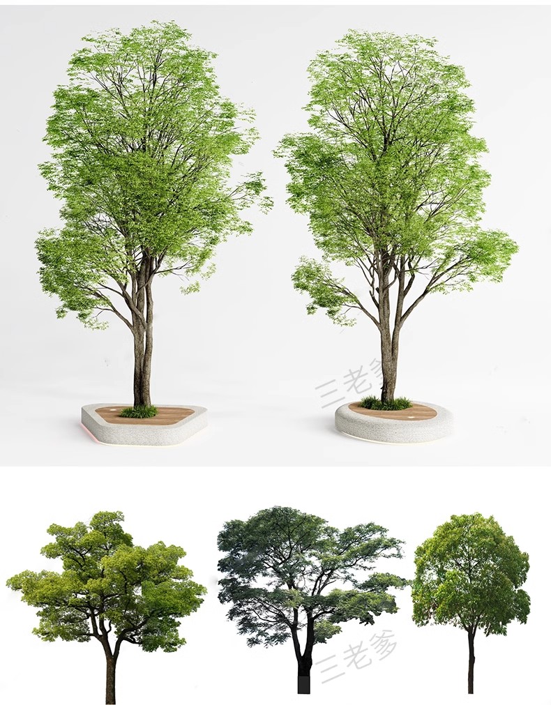 图片[49]-SU草图大师模型园林建筑室外景观树木乔木三维植物sketchup素材库-大怪兽分享
