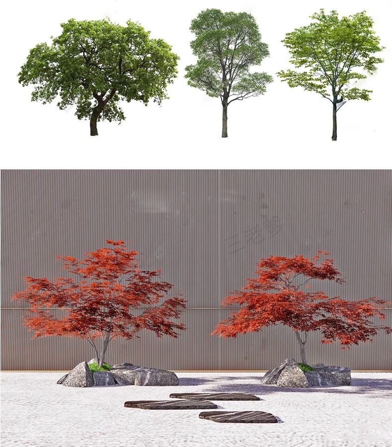 图片[50]-SU草图大师模型园林建筑室外景观树木乔木三维植物sketchup素材库-大怪兽分享