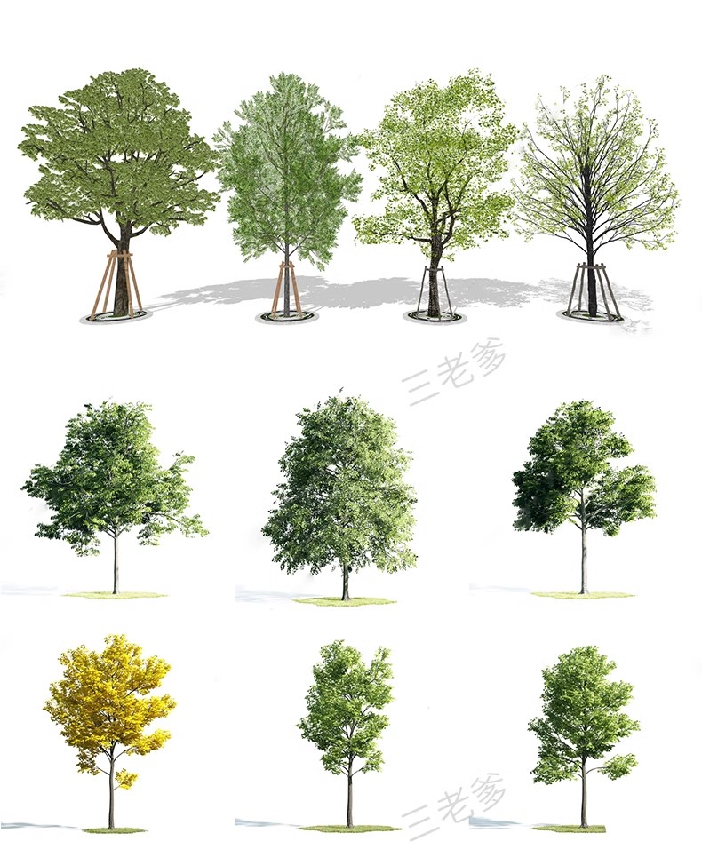 图片[51]-SU草图大师模型园林建筑室外景观树木乔木三维植物sketchup素材库-大怪兽分享
