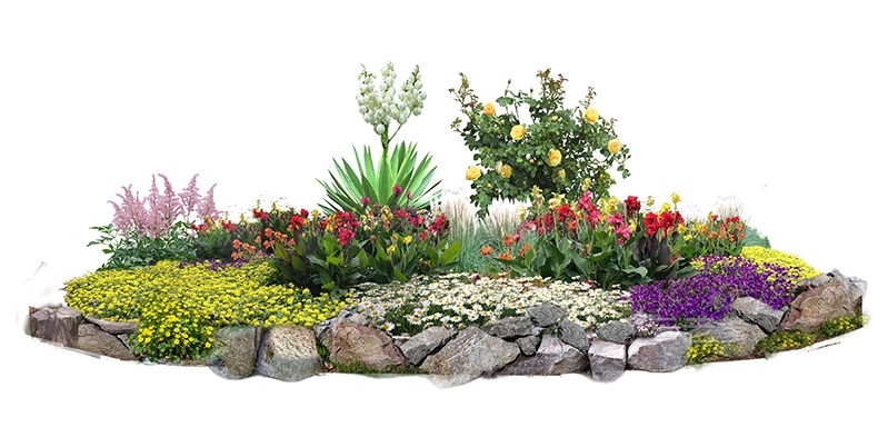 图片[32]-PS花镜花境灌木花丛组团设计组合花卉植物配置效果图psd免扣素材-大怪兽分享