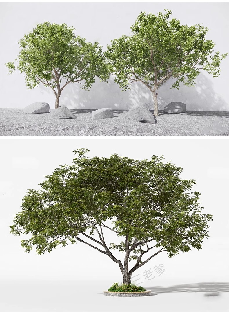 图片[52]-SU草图大师模型园林建筑室外景观树木乔木三维植物sketchup素材库-大怪兽分享