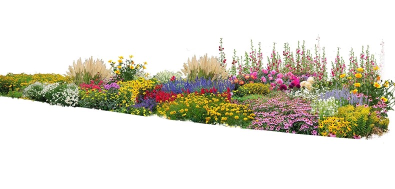 图片[33]-PS花镜花境灌木花丛组团设计组合花卉植物配置效果图psd免扣素材-大怪兽分享