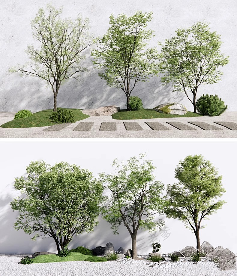图片[53]-SU草图大师模型园林建筑室外景观树木乔木三维植物sketchup素材库-大怪兽分享