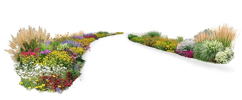 图片[34]-PS花镜花境灌木花丛组团设计组合花卉植物配置效果图psd免扣素材-大怪兽分享