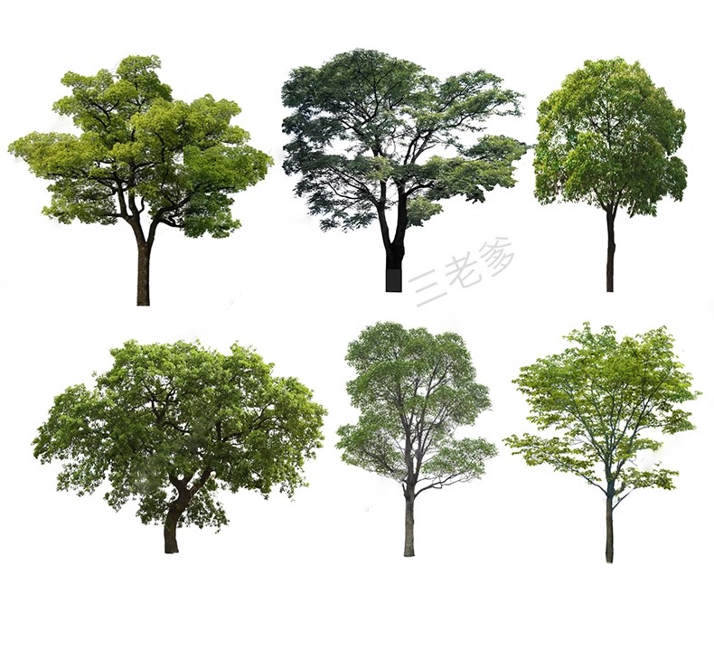 图片[54]-SU草图大师模型园林建筑室外景观树木乔木三维植物sketchup素材库-大怪兽分享