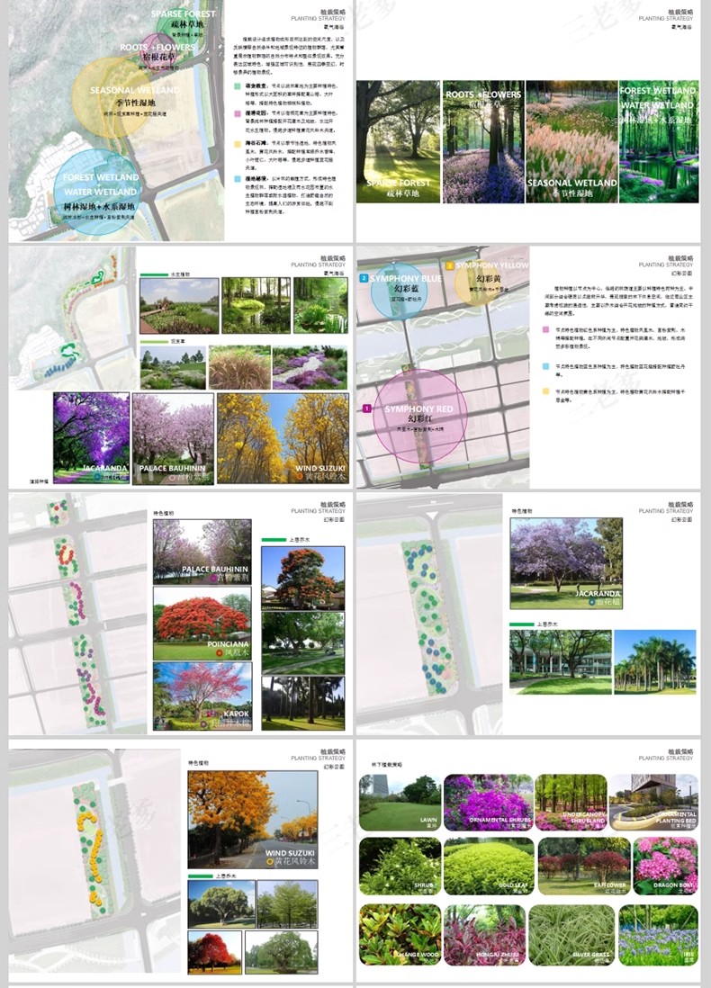 图片[32]-城市街头口袋公园景观设计方案文本街角公园案例SU模型CAD图ppt-大怪兽分享
