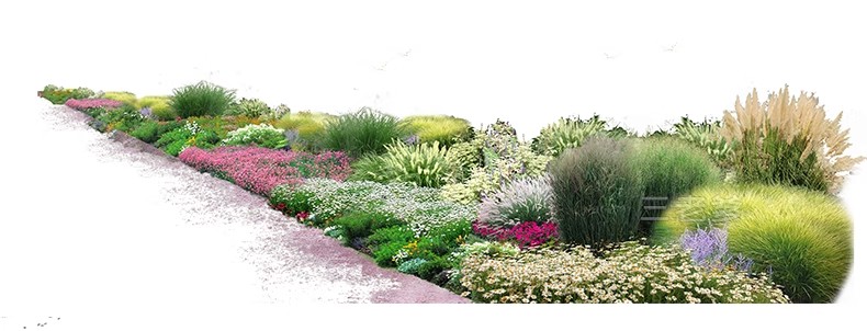 图片[35]-PS花镜花境灌木花丛组团设计组合花卉植物配置效果图psd免扣素材-大怪兽分享