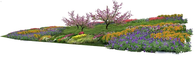 图片[36]-PS花镜花境灌木花丛组团设计组合花卉植物配置效果图psd免扣素材-大怪兽分享