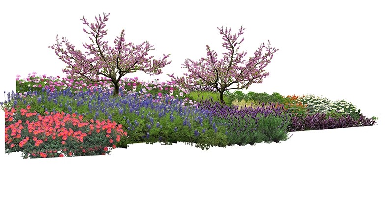 图片[37]-PS花镜花境灌木花丛组团设计组合花卉植物配置效果图psd免扣素材-大怪兽分享