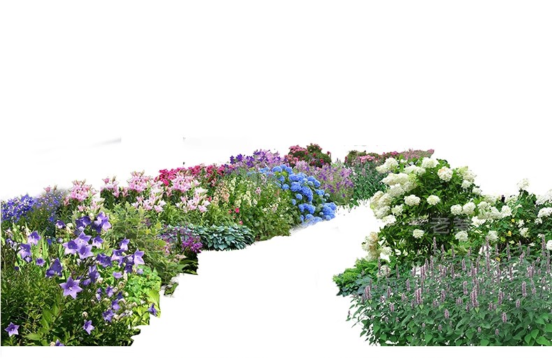 图片[38]-PS花镜花境灌木花丛组团设计组合花卉植物配置效果图psd免扣素材-大怪兽分享