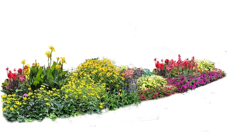 图片[39]-PS花镜花境灌木花丛组团设计组合花卉植物配置效果图psd免扣素材-大怪兽分享