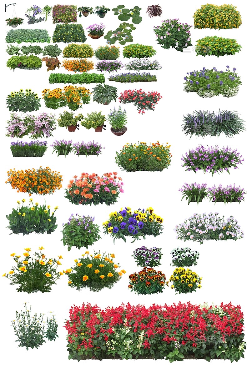 图片[40]-PS花镜花境灌木花丛组团设计组合花卉植物配置效果图psd免扣素材-大怪兽分享