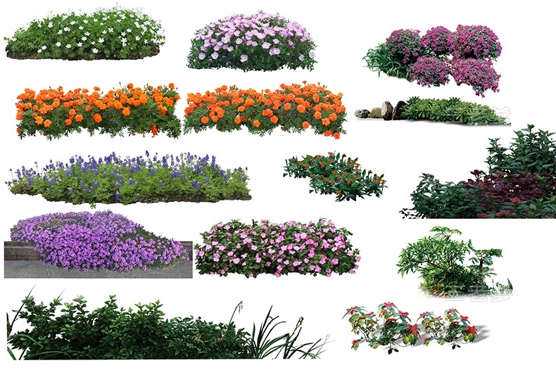 图片[41]-PS花镜花境灌木花丛组团设计组合花卉植物配置效果图psd免扣素材-大怪兽分享