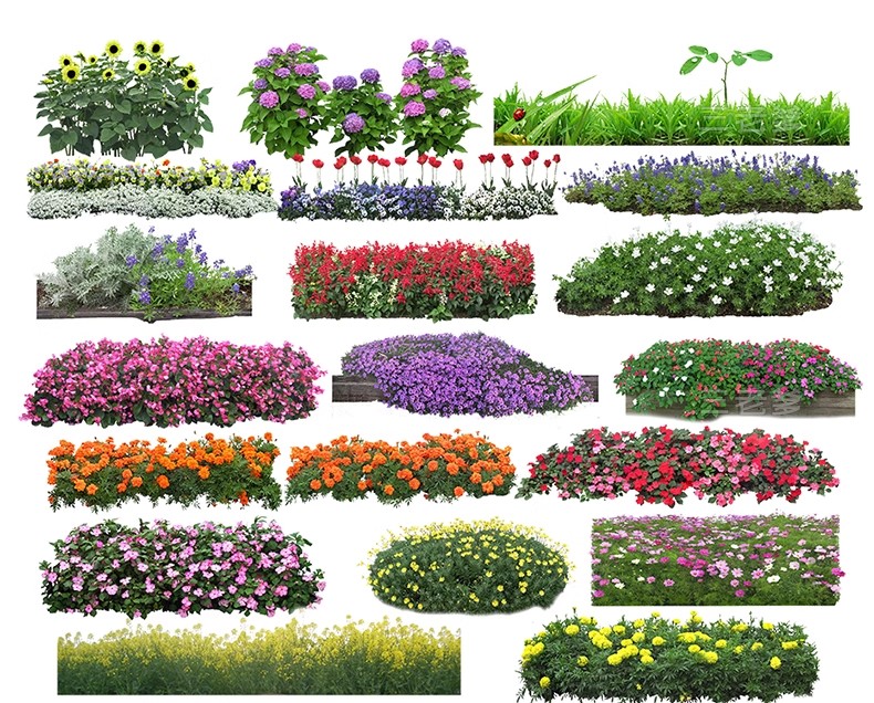 图片[42]-PS花镜花境灌木花丛组团设计组合花卉植物配置效果图psd免扣素材-大怪兽分享