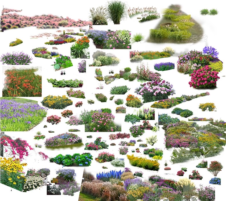 图片[43]-PS花镜花境灌木花丛组团设计组合花卉植物配置效果图psd免扣素材-大怪兽分享