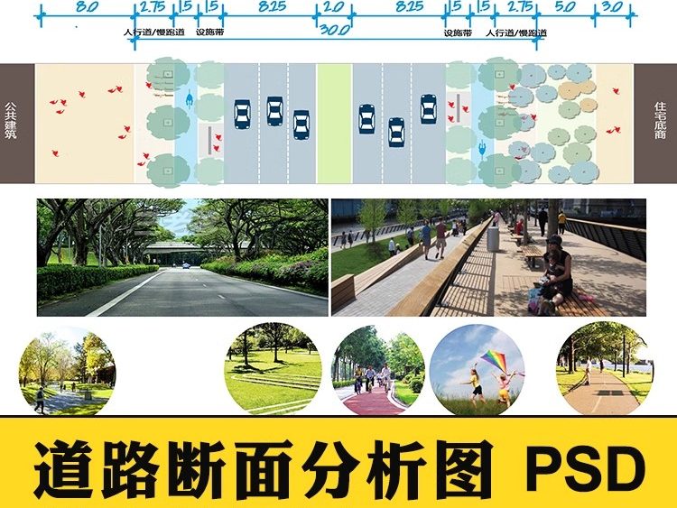 园林景观PS小清新植物分析图psd 乡村道路立面剖面分层源文件素材-大怪兽分享