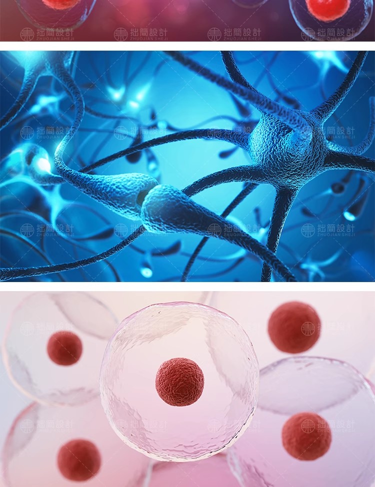 图片[3]-15款医疗生物科技DNA基因链细菌细胞插图背景JPG高清图片设计素材-大怪兽分享