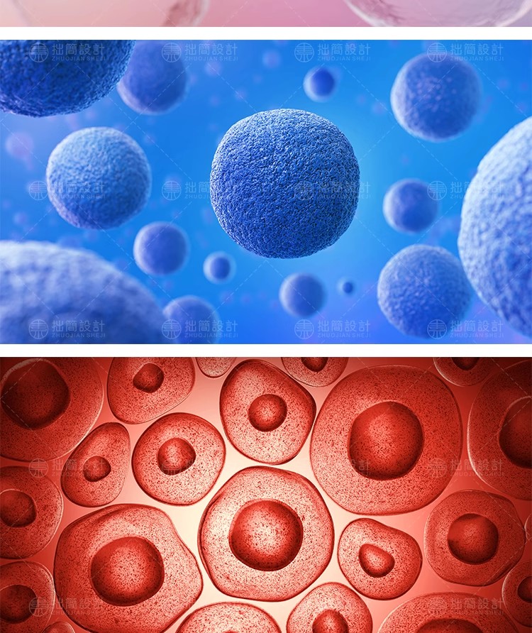 图片[4]-15款医疗生物科技DNA基因链细菌细胞插图背景JPG高清图片设计素材-大怪兽分享