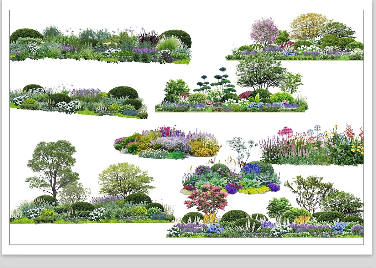 图片[6]-景观园林ps公园花园庭院绿化花境植物组团花镜组合设计psd素材-大怪兽分享