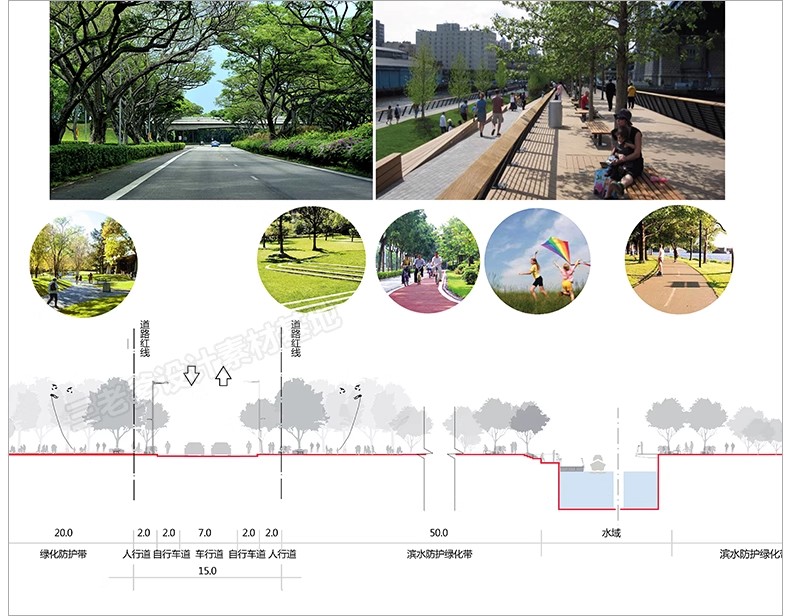 图片[8]-园林景观PS小清新植物分析图psd 乡村道路立面剖面分层源文件素材-大怪兽分享