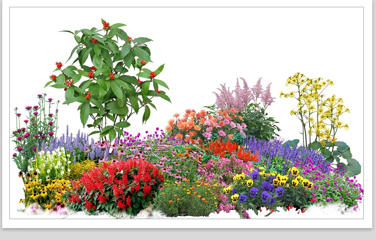 图片[9]-景观园林ps公园花园庭院绿化花境植物组团花镜组合设计psd素材-大怪兽分享