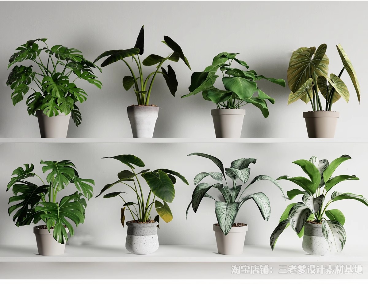 图片[9]-花架盆栽装饰架su模型花卉绿植室内阳台造景架子摆件植物草图大师-大怪兽分享