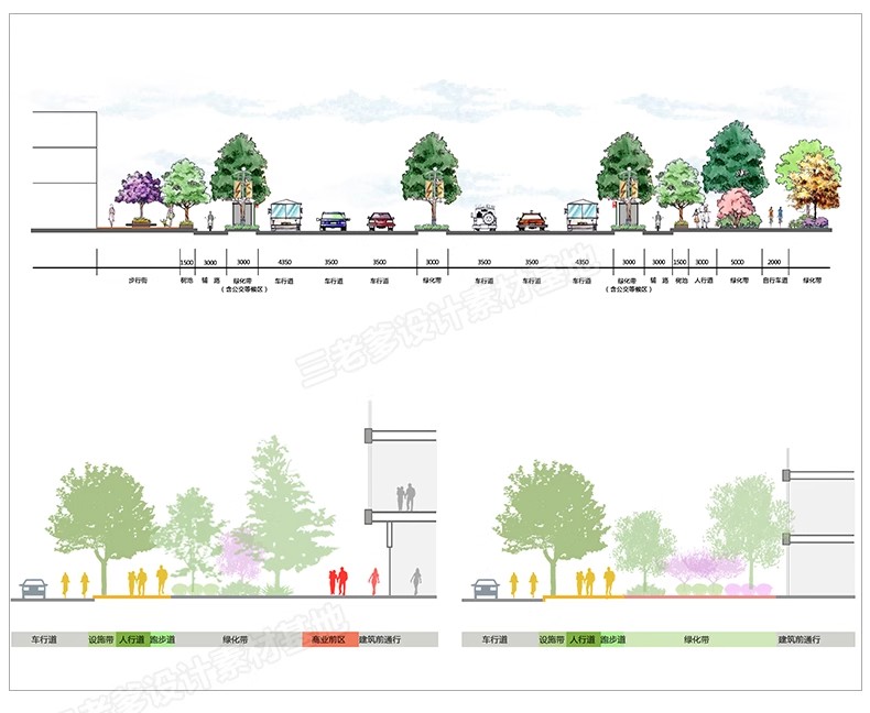 图片[9]-园林景观PS小清新植物分析图psd 乡村道路立面剖面分层源文件素材-大怪兽分享