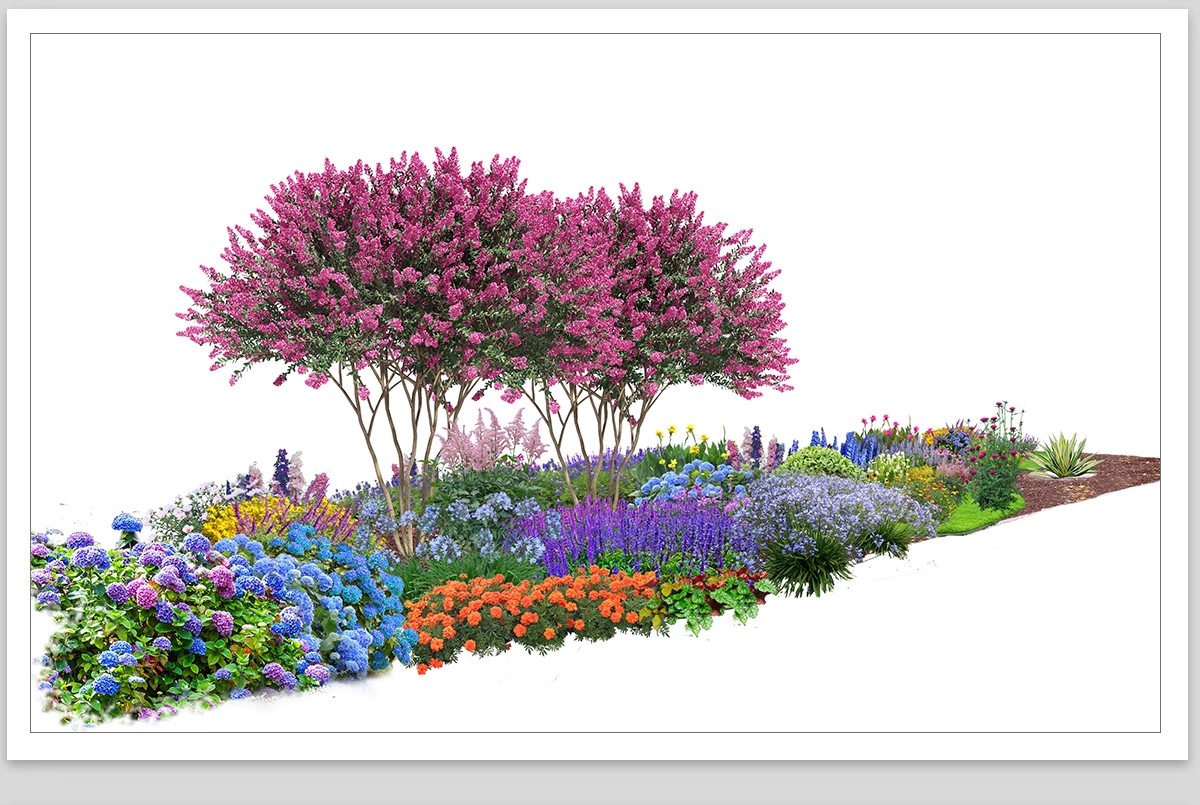 图片[10]-景观园林ps公园花园庭院绿化花境植物组团花镜组合设计psd素材-大怪兽分享