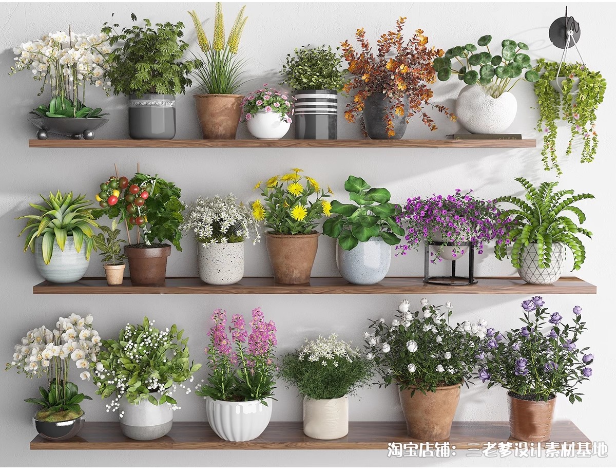 图片[10]-花架盆栽装饰架su模型花卉绿植室内阳台造景架子摆件植物草图大师-大怪兽分享