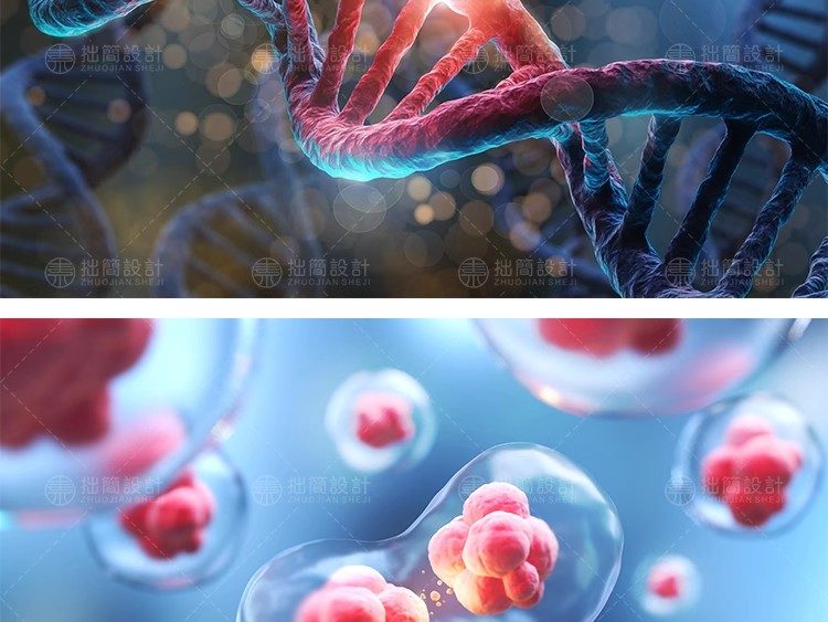 图片[10]-15款医疗生物科技DNA基因链细菌细胞插图背景JPG高清图片设计素材-大怪兽分享